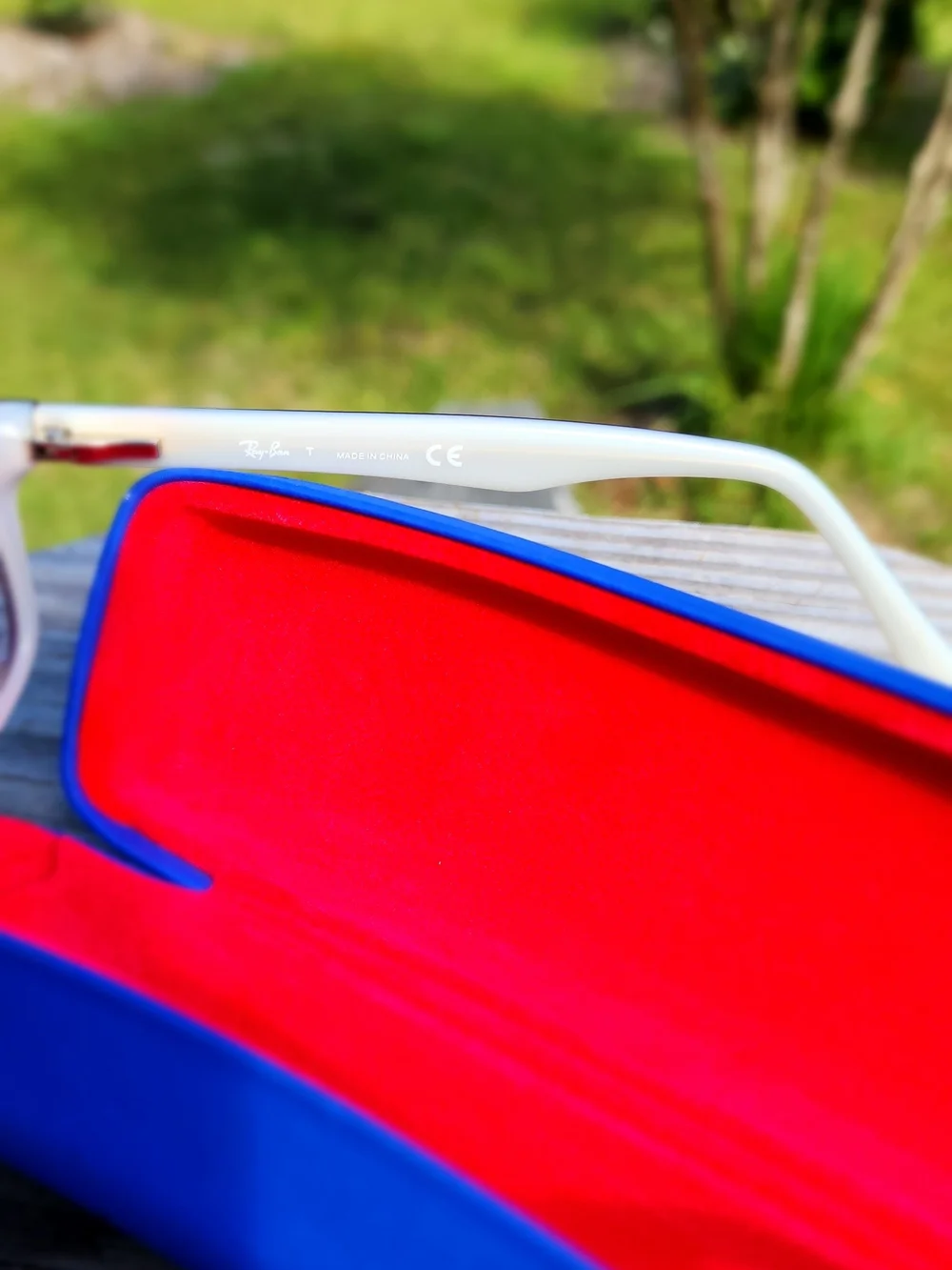 Ray-Ban glasses With Case